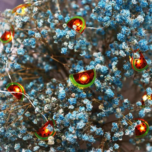Vista 3 de Guirnalda de 20 luces LED de cobre sandía, funciona con pilas, para Navidad, fiesta de cumpleaños, vacaciones, decoración de verano, sandía