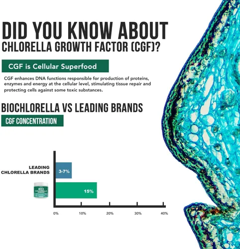 Vista 6 de Polvo orgánico de Chlorella - Cruda y cultivada al sol - Algas verdes densas en nutrientes con CGF (factor de crecimiento de Chlorella), apoya