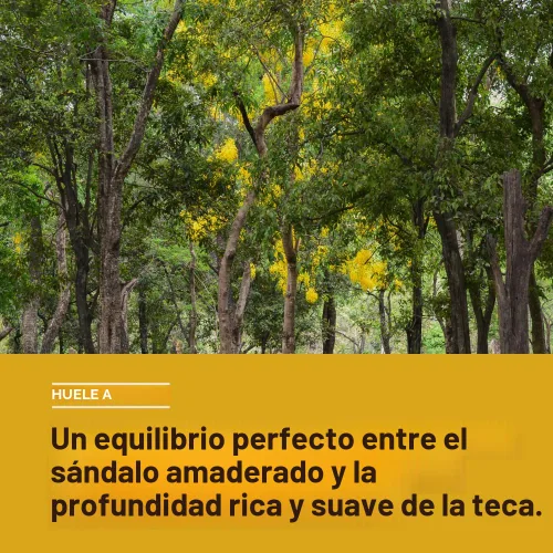 Vista 3 de Every Man Jack Desodorante para Hombre de Ámbar + Sándalo - Mantén la Frescura con Desodorante sin Aluminio Para Todos los Tipos de Piel - Elimina