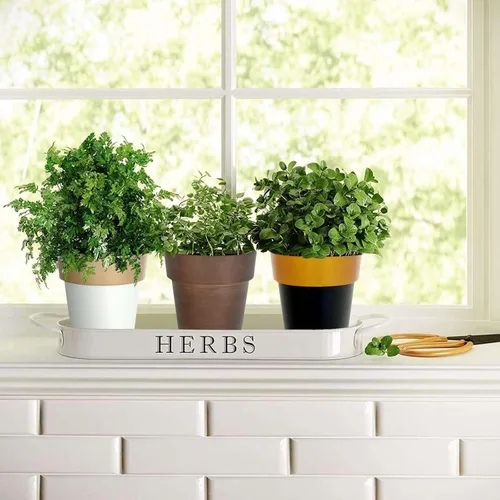 Vista 8 de Efavormart - Paquete de 2 macetas decorativas para interiores y jardines con borde blanco y dorado de 6 pulgadas