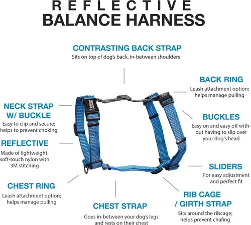 Vista 2 de Blue-9 Arnés de balanceo con hebilla reflectante, ajustable sin tirones con costura reflectante 3M, ideal para entrenamiento y obediencia de perros