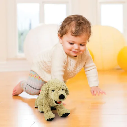 Vista 6 de LotFancy Animales de peluche de perros, 12 pulgadas, tiernos animales de peluche Golden Retriever, juguete de peluche de cachorro sentado, regalo