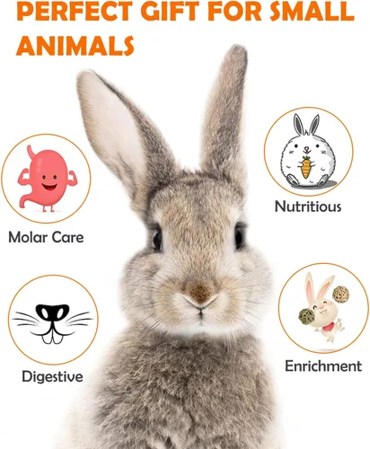 Vista 4 de Sofier Timothy Heno Treats - Juguetes para conejo, conejillo de indias, masticables naturales para dientes hechos a mano para conejos, masticables