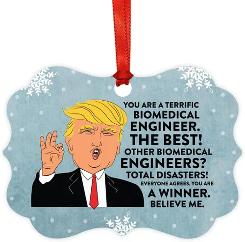 Vista 40 de Andaz Press Presidente Donald Trump Fancy Frame Recuerdo Adorno de Navidad Regalo de broma Ejecutivo de Cuenta, 1 paquete, Divertidas Ideas