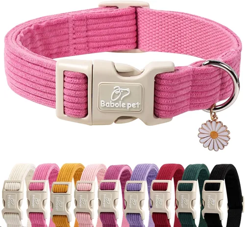 Vista 9 de Lindo Collar de Corduroy para Perro - Collar Ajustable Negro para Perros Pequeños de 4-10lbs, Resistente al Desvanecimiento con Cierre Seguro