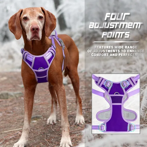 Vista 104 de BARKBAY - Arnés para perro sin tirones con clip frontal, material resistente y reflectante, asa de fácil control para pasear perros grandes