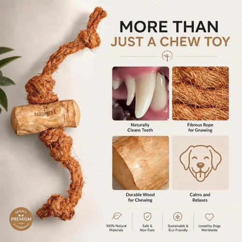 Vista 6 de Canophera Juguete masticable de madera y coco para perros para dientes y encías saludables, tamaño pequeño, todas las razas de perros