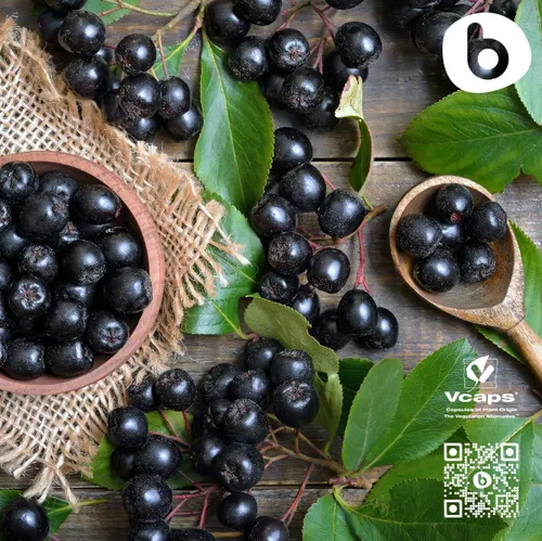 Vista 6 de Cápsulas orgánicas de bayas de Aronia – Suplemento de chokeberry negro con antocianinas y polifenoles naturales – Apoya el sistema inmunológico