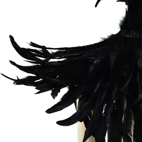 Vista 6 de LVOW - Disfraz gótico de plumas negras para hombre