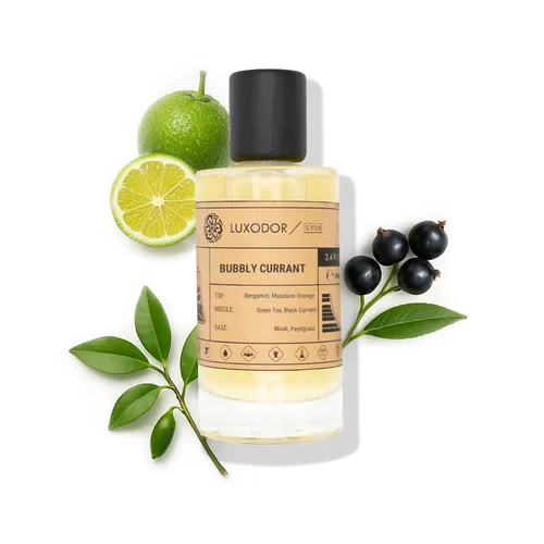 Vista 11 de Inspirado en S.antal 33 Eau De Parfum Perfume de madera de sándalo y madera, 3.4 fl oz (3.4 fl oz) con aceite concentrado, Perfume unisex S.antal