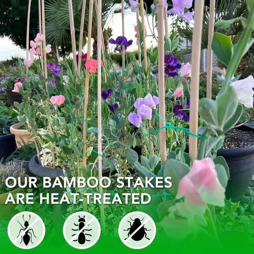 Vista 4 de SWANGSA Paquete de 40 estacas de bambú para plantas de 3 pies, palos de bambú para soporte de plantas, postes de jardín con 200 lazos giratorios