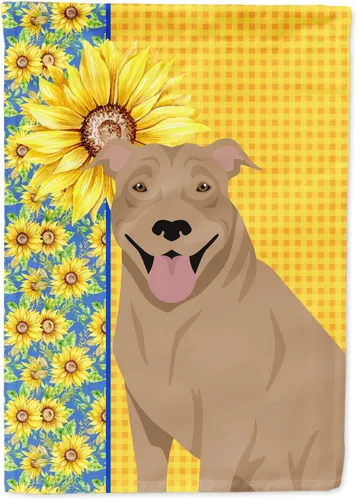 Vista 298 de Caroline's Treasures WDK5313GF Bandera de jardín con diseño de girasoles de verano, color negro y tostado, Airedale Terrier para buzón, bandera