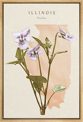 Vista 27 de Lienzo enmarcado para pared, diseño de rosa del desierto con pinchos, plantas florales suculentas, fotografía, arte moderno, primer plano
