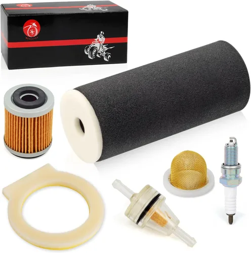 Vista 4 de Filtro de aire espuma y bujía + colador de aceite + filtro de aceite para Yamaha Warrior 350 Raptor 350 Wolverine 350 1987-2013 1UY-14451-00-00