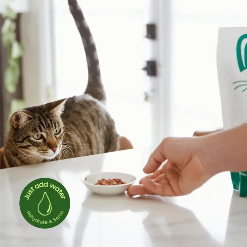 Vista 4 de smallbatch Alimento crudo liofilizado para gatos, bocados de alimentos estables en conservación, receta de carne, comida o adorno alto en proteínas