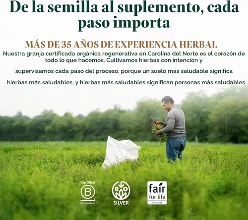 Vista 8 de 120 Fitocápsulas líquidas de aceite de orégano Gaia Herbs, GH-99625, 1, 1