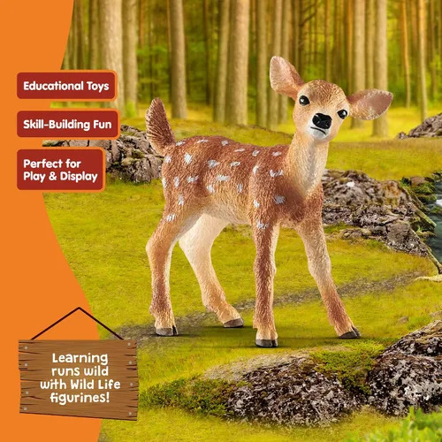 Vista 5 de Schleich Wild Life - Figura realista de ciervo de cola blanca auténtica y altamente detallada - Juguete de animal salvaje duradero para educación