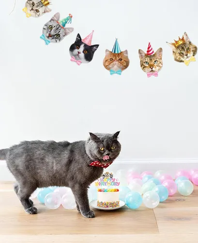 Vista 4 de TSJ 16 adornos para cupcakes de gato, decoración de pastel de cumpleaños para gatos, decoración de fiesta temática de gatitos, palitos para pastel