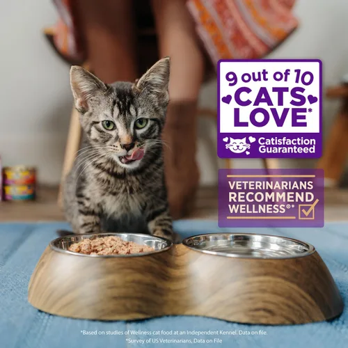 Vista 4 de Comida húmeda para gatos Healthy Indulgence, libre de granos, bolsa de 3 onzas (paquete de 24 envases), de Wellness