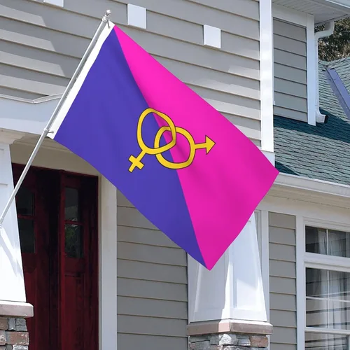 Vista 7 de Bandera de orgullo heterosexual heterosexual de 3 x 5 pies, decoración de doble cara para exteriores