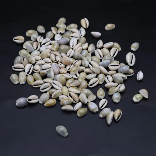 Vista 4 de Acuario de concha natural para pecera, cuentas hechas a mano para hacer joyas, manualidades, pulsera, accesorio