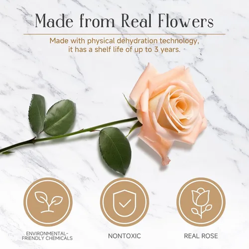 Vista 5 de Flores preservadas para mamá, rosas champán preservadas en cúpula de cristal con luz LED para novia, flores reales eternas para mujeres, regalo