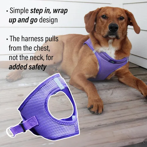 Vista 4 de Doggie Design Arnés para perro – Arnés sin estrangulamiento para mascotas, chaleco para perro, malla de poliéster, diseño simple, chaleco