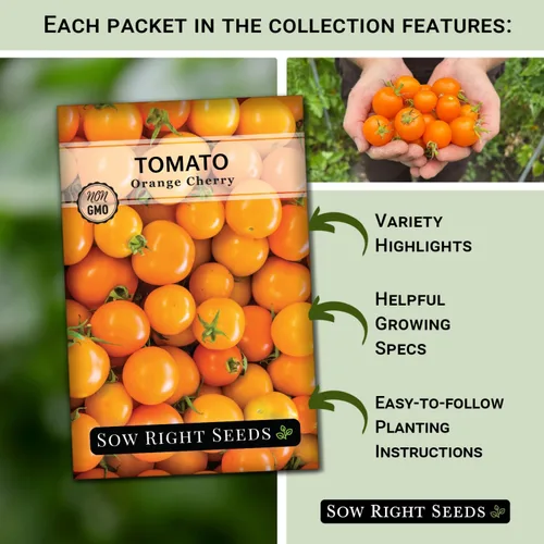 Vista 2 de Sow Right Seeds - Colección de semillas de tomate amarillo y naranja para plantar - Brandywine, Jubilee, Kellog's Breakfast, pera amarilla y cereza