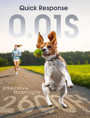Vista 4 de Collar de entrenamiento para perros con control remoto, collar inteligente de choque para perros con 3 modos de entrenamiento e iconos
