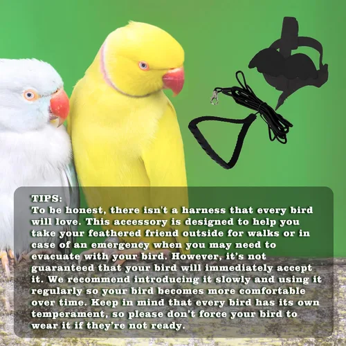 Vista 5 de Correas y arneses ajustables para pájaros, arnés de nailon para pájaros con bonito ala para loros, accesorios para pájaros para mascotas, correa