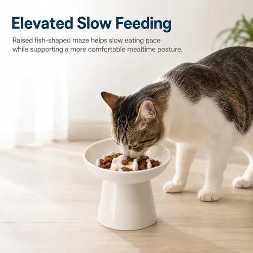 Vista 6 de Cuenco elevado de cerámica para alimentación lenta para gatos, plato ancho poco profundo de 6 pulgadas, cuenco de comida para gatos antivómitos