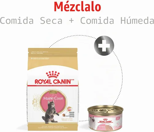Vista 5 de Royal Canin Feline Breed Nutrition Persian Kitten Dry Cat Food, 3 lb Bag