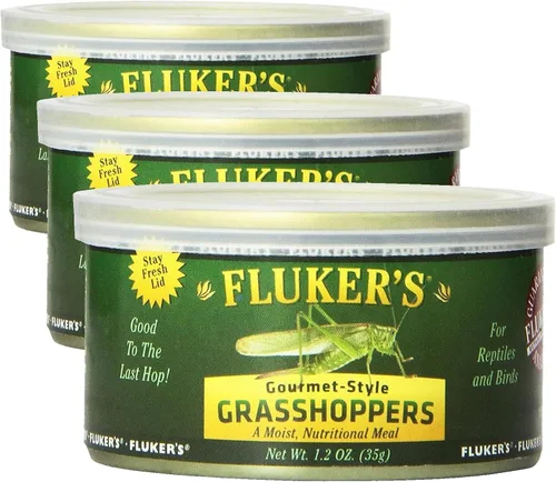 Vista 22 de Fluker's Alimento enlatado gourmet para reptiles, peces, pájaros y animales pequeños, cucarachas pequeñas Dubia, 1.2 oz