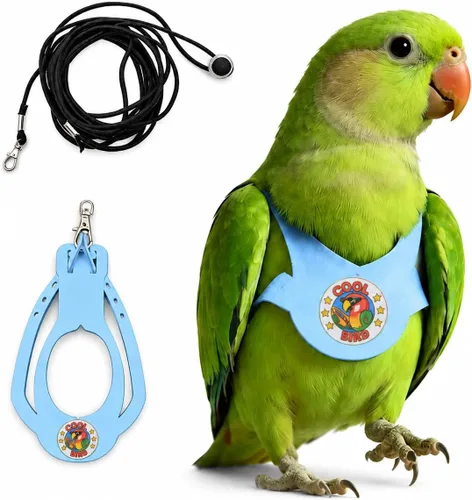 Vista 16 de Juego de arnés ajustable y correa para pájaros pequeños, apto para periquitos, conures, cacatúas, mejillas verdes, loros cuáqueros (verde, XS) 6350-6