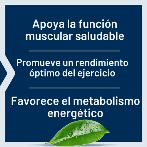 Vista 4 de Life Extension Cápsulas de creatina, monohidrato de creatina, promueve la fuerza, músculo magro, resistencia saludable, sin OMG, sin gluten, 120