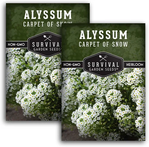 Vista 11 de White Alyssum Seeds for Planting - Semillas de jardín de supervivencia (paquete de 1) Variedad Sweet Carpet of Snow - Flores perennes fragantes