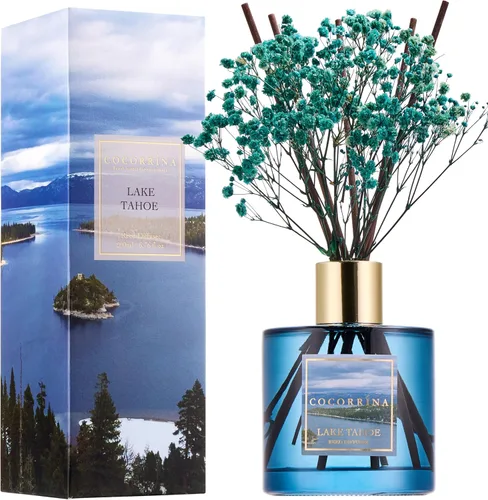 Vista 21 de Difusor de Varillas Cocorrína - Difusor Aromatizante con Aroma de Arroyo de Bambú con 8 Varillas, Difusor de Fragancia para Hogar, Decoración