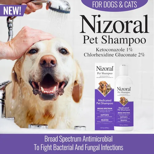 Vista 2 de Nizoral Champú para mascotas Ketoconazol, 16 onzas, clorhexidina, perros