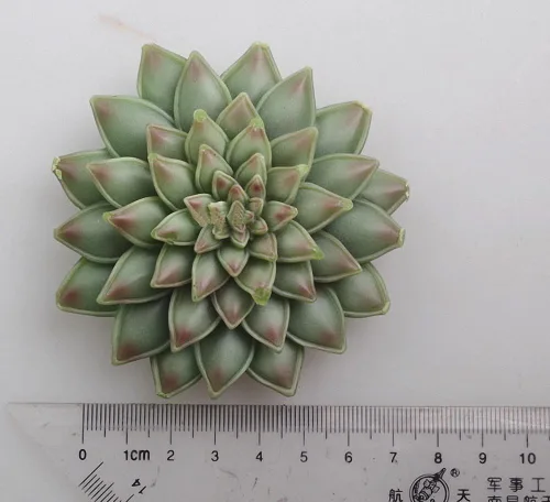 Vista 5 de Molde de fondant para plantas suculentas, molde de silicona MoldFun Succulents para velas, jabón, cera