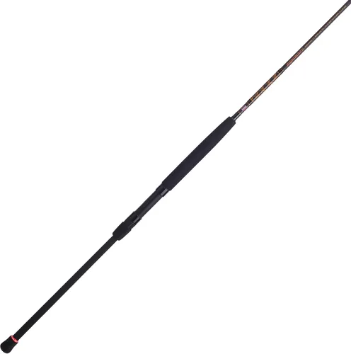 Vista 11 de Penn Escuadrón IV Surf Spinning Rod