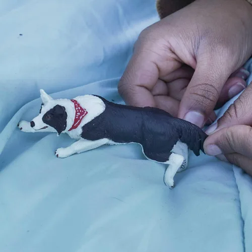 Vista 7 de Safari Ltd. Figura de Border Collie – Figura detallada de plástico de 5 pulgadas – Divertido juguete educativo para niños, niñas y niños a partir