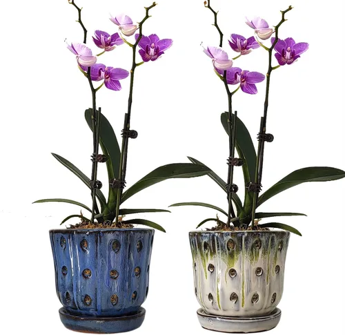 Vista 10 de Macetas para Orquídeas de 4.9 Pulgadas Macetas de Cerámica para Orquídeas con Agujeros Juego de 2 (verde musgo+blanco)