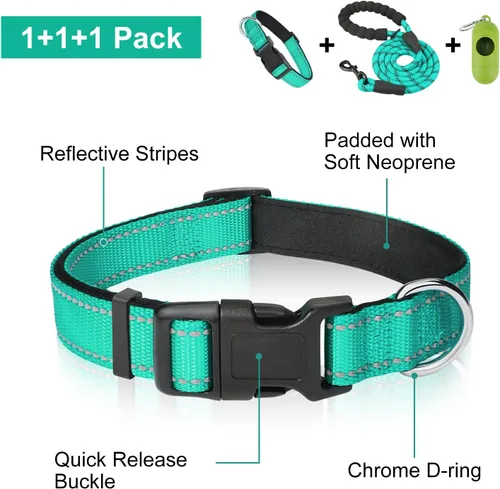 Vista 2 de Dynmeow Juego de collar y correa reflectante para perro, correa de cuerda de escalada fuerte de 6 pies con mango acolchado, collar ajustable