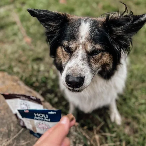 Vista 8 de HOLI Elk & Venison - Golosinas liofilizadas para perros, totalmente naturales y capturadas en la naturaleza, fortificadas con vitaminas y minerales