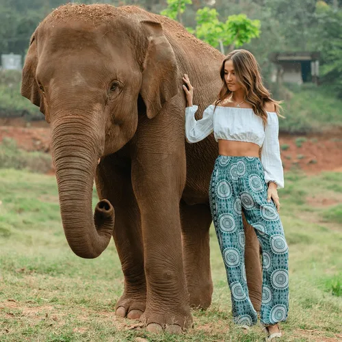 Vista 6 de Lotus and Luna Pantalones de harén para mujer, pantalones tailandeses para playa y descanso, cintura alta, pantalones bohemios, pantalones geniales