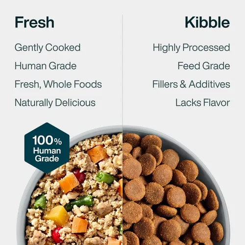 Vista 7 de JustFoodForDogs Alimento fresco congelado saludable para perros con control de peso, comidas frescas para mascotas o adornos para control