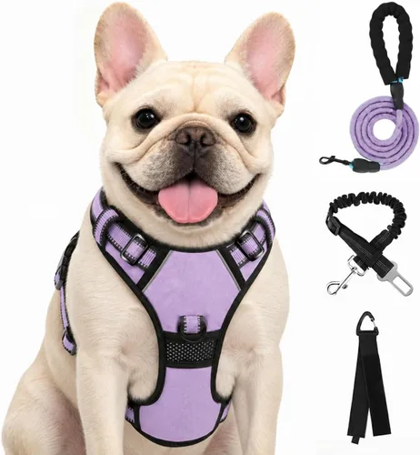Vista 19 de FURRYFECTION - Arnés para perro a cuadros con correa y cinturón de Rosa