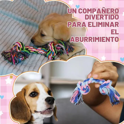 Vista 6 de Paterr 12 piezas de cuerda de algodón juguetes para perros pequeños cachorros dentición