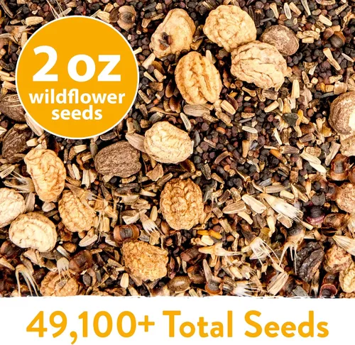 Vista 5 de HOME GROWN - 49 000 semillas de flores silvestres, mezcla a granel, 2 onzas, 21 variedades de mezcla de flores silvestres, para atraer abejas
