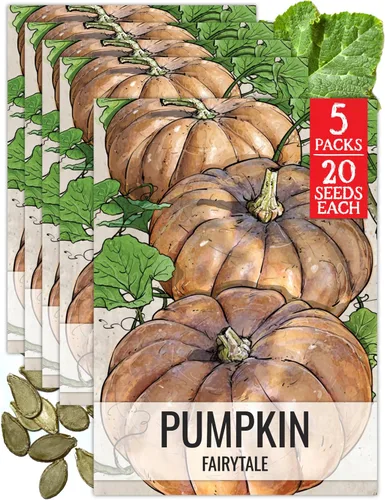 Vista 21 de Seed Needs Semillas de calabaza para plantar calabazas pequeñas de tarta de azúcar, semillas de verduras sin OMG y sin tratar para plantar un huerto
